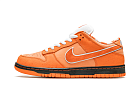 Nike SB Dunk Low Concepts Orange Lobster