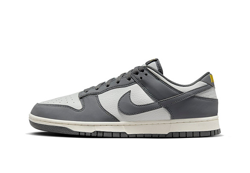 Nike Dunk Low Next Nature Iron Grey Lightning