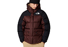 The North Face Hmlyn Down Parka Coal Brown