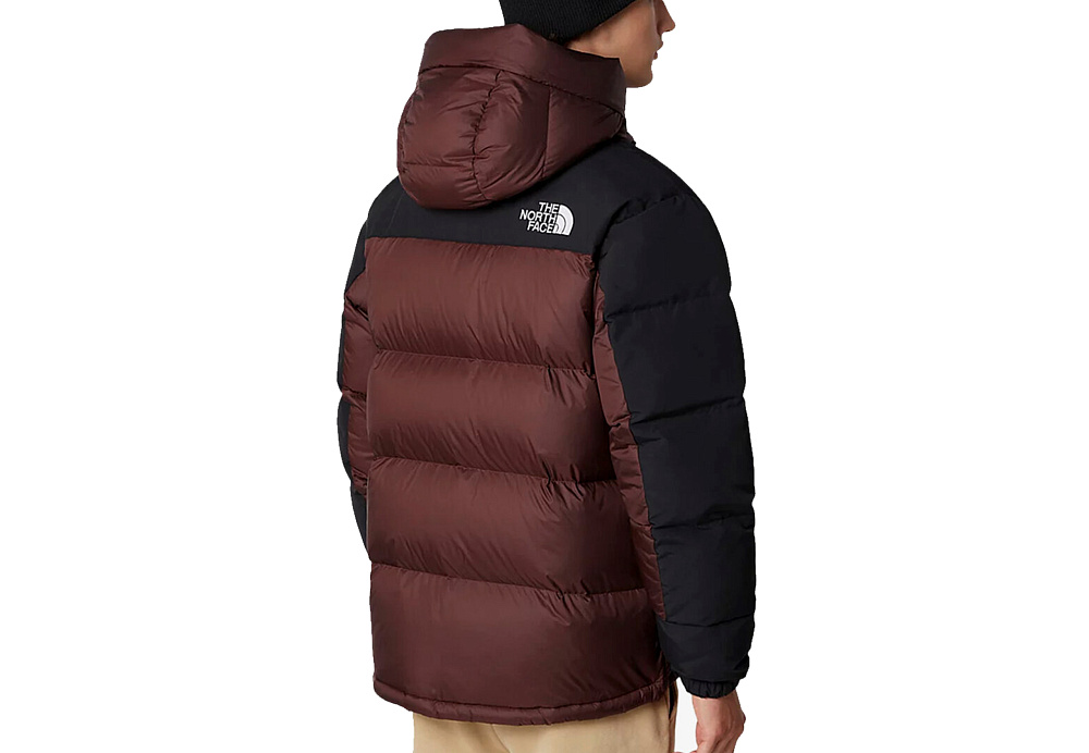 The North Face Hmlyn Down Parka Coal Brown
