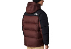 The North Face Hmlyn Down Parka Coal Brown