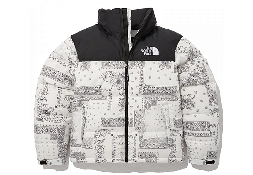 КУРТКА The North Face Novelty Lofty Down Jacket White