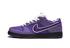 Nike SB Dunk Low Concepts Purple Lobster (Special Box)