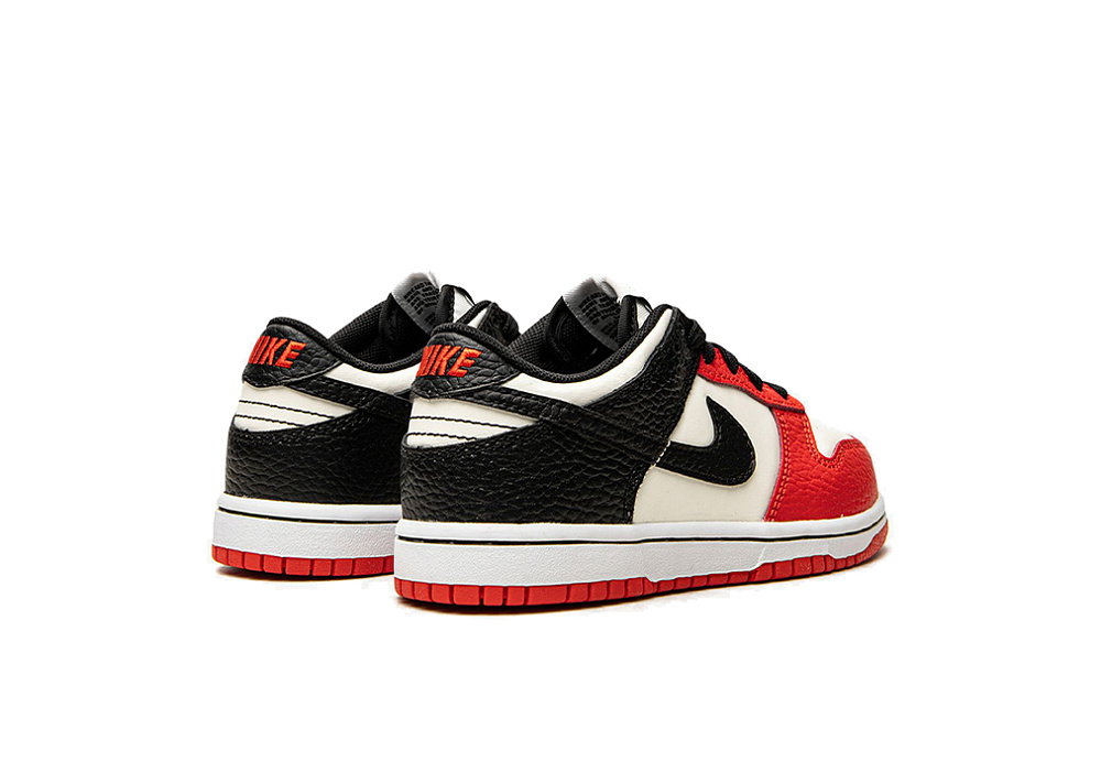 Nike Dunk Low EMB NBA 75th Anniversary Chicago Kids