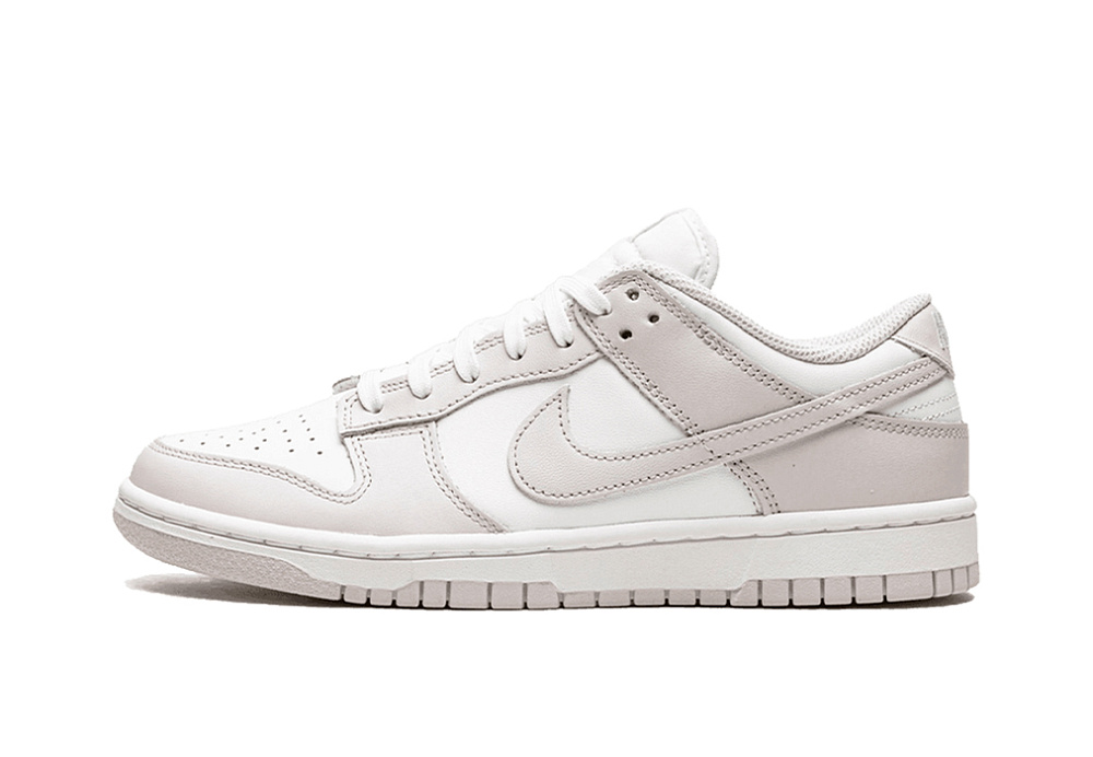 Nike Dunk Low Venice (W)