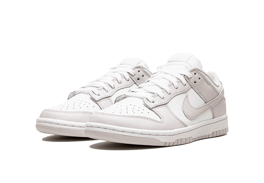 Nike Dunk Low Venice (W)