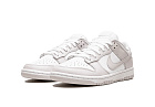 Nike Dunk Low Venice (W)