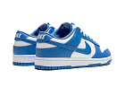 Nike Dunk Low Polar Blue