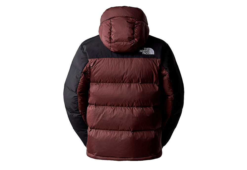 The North Face Hmlyn Down Parka Coal Brown