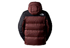 The North Face Hmlyn Down Parka Coal Brown