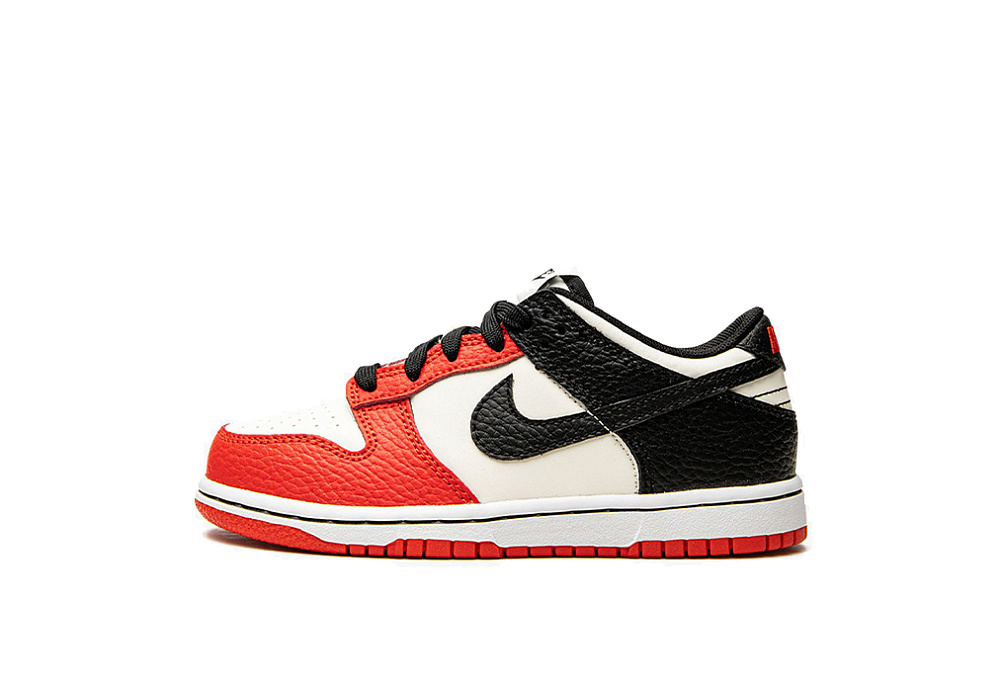 Nike Dunk Low EMB NBA 75th Anniversary Chicago Kids