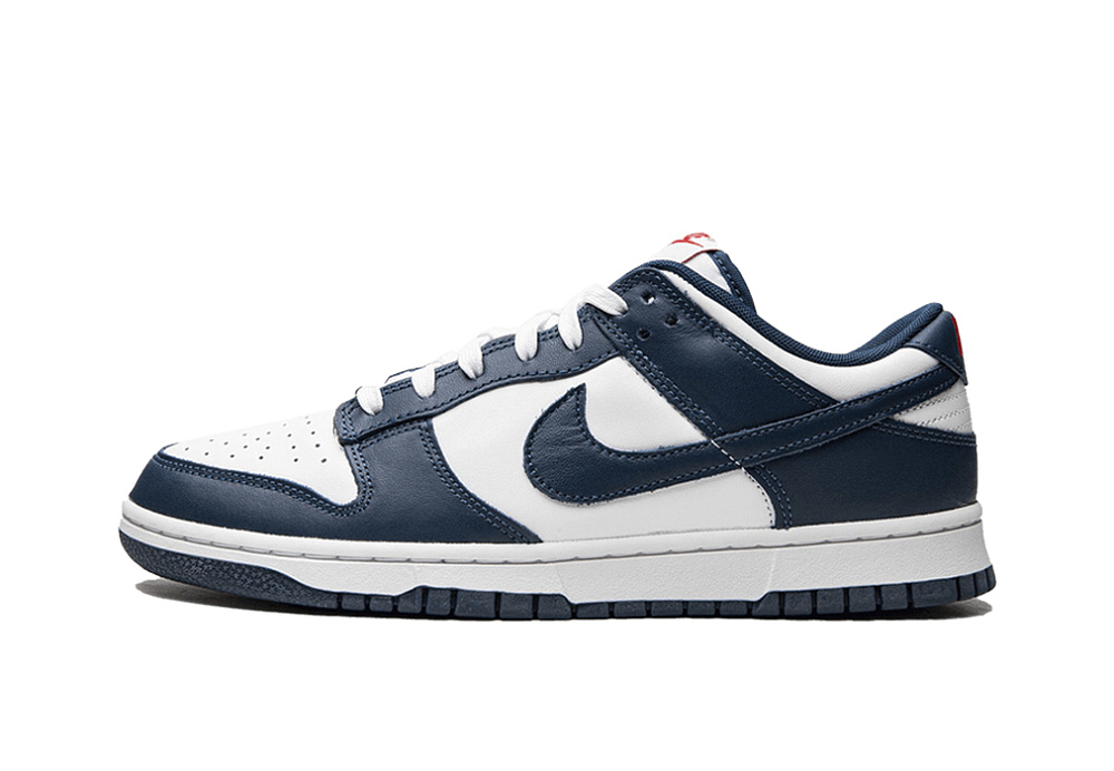 Nike Dunk Low Valerian Blue