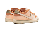 Nike SB Dunk Low Trocadéro Gardens