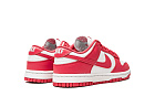 Nike Dunk Low Archeo Pink (W)